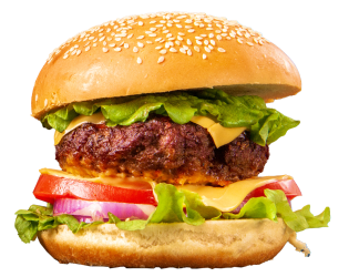 Burger 5